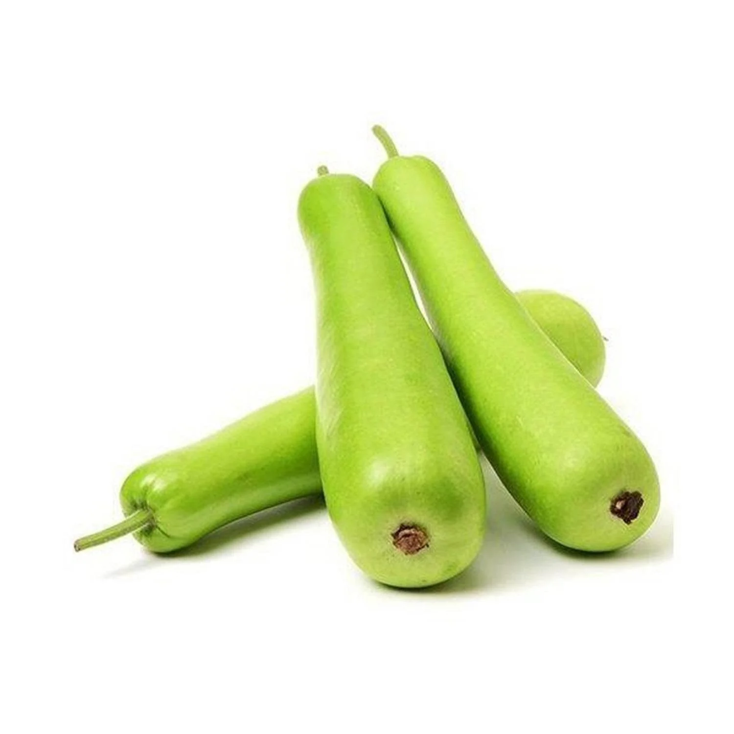 Bottle Gourd export from India
