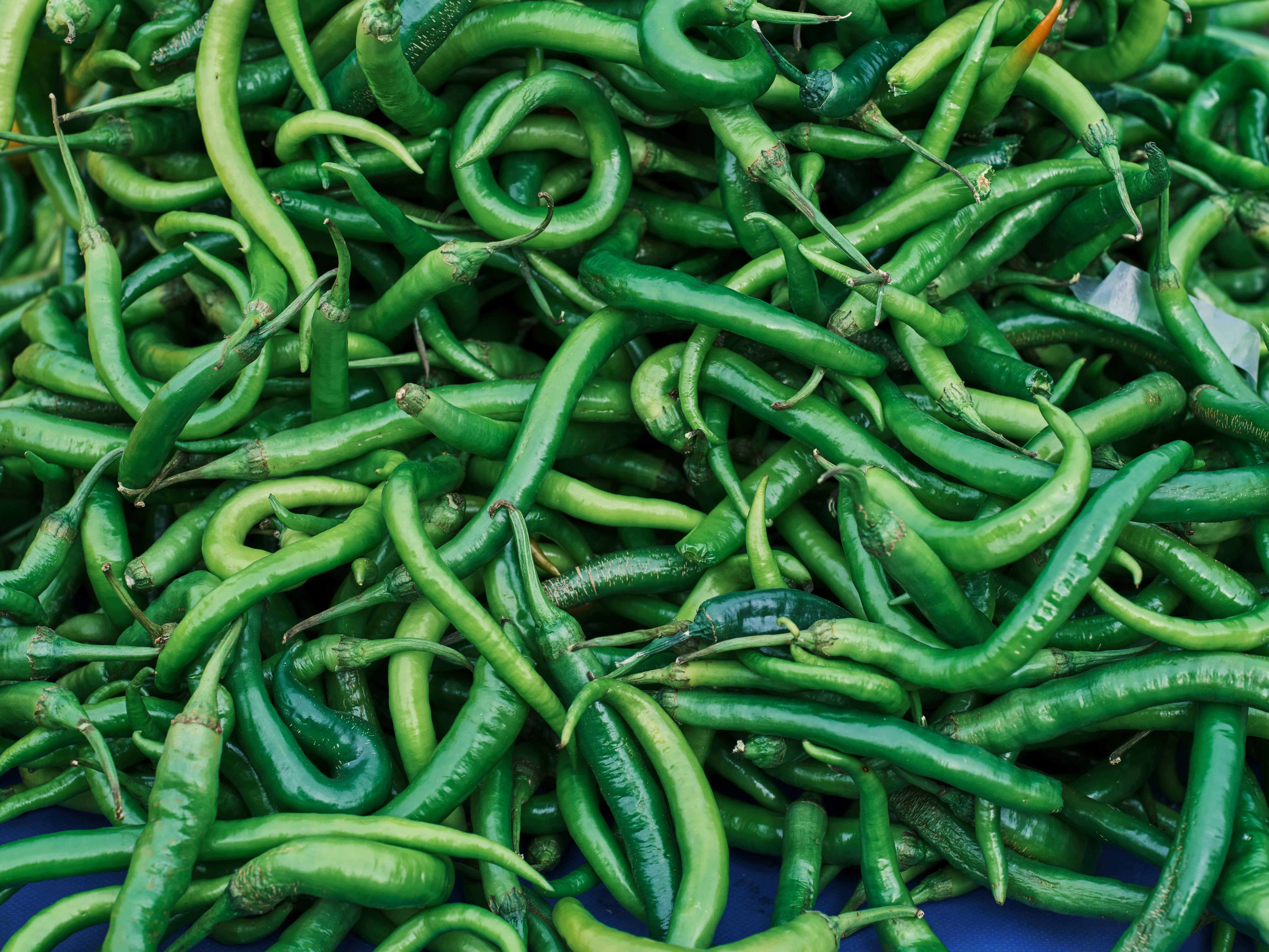 Green Chilli export from India