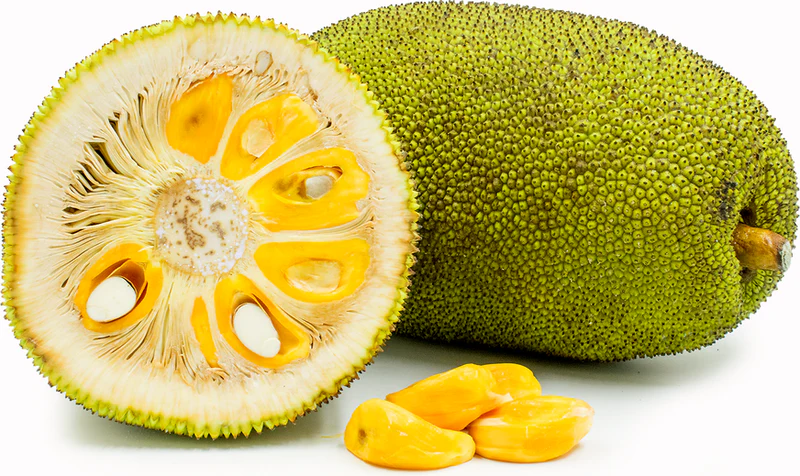 Jackfruit export from India