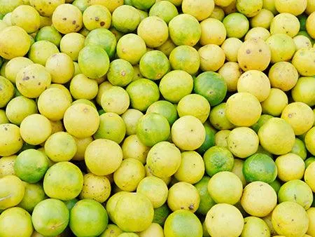 Lemon export from India