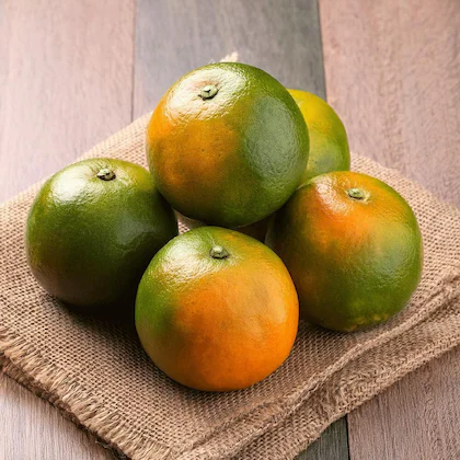 Orange export from India