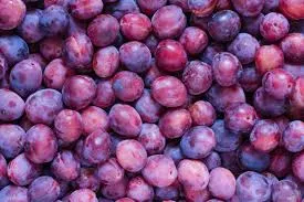 Plum export from India