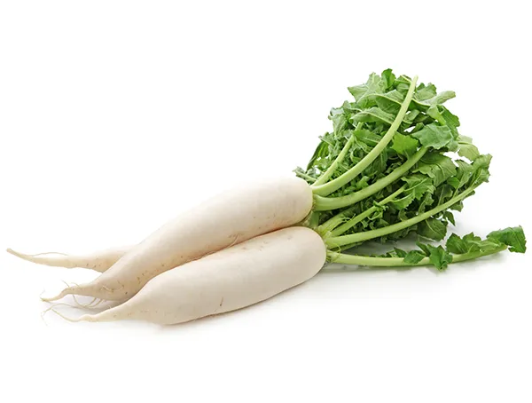 Radish export from India