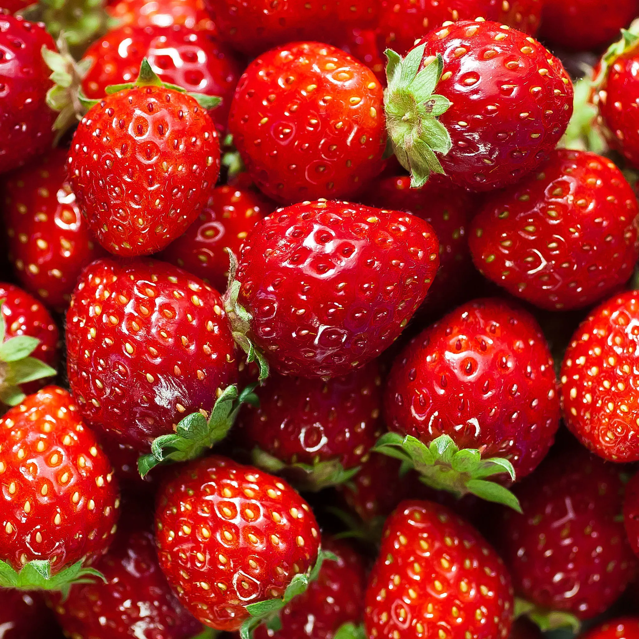 Strawberry export from India