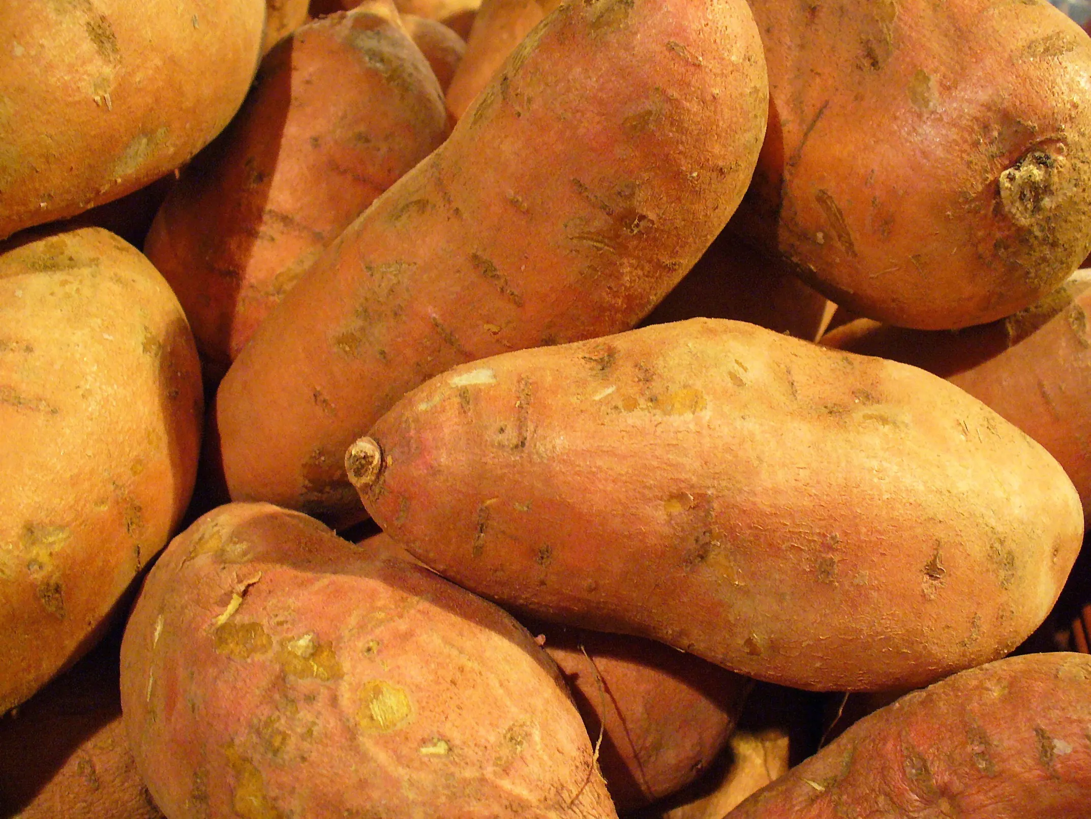 Sweet Potato export from India
