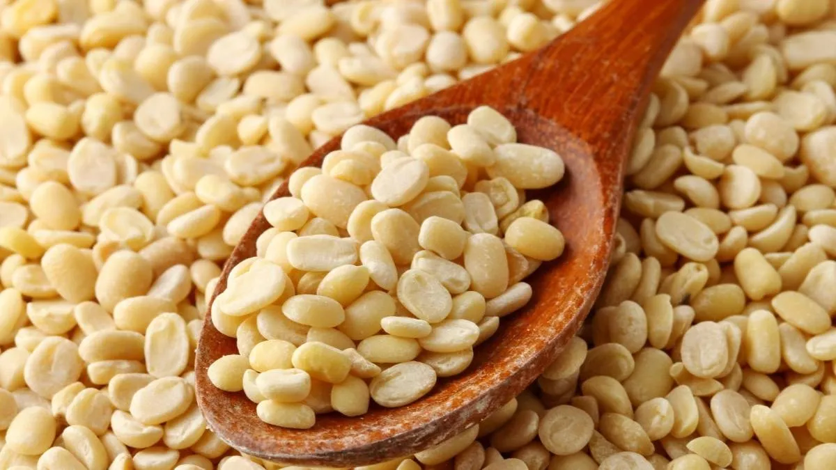 Urad Dal export from India
